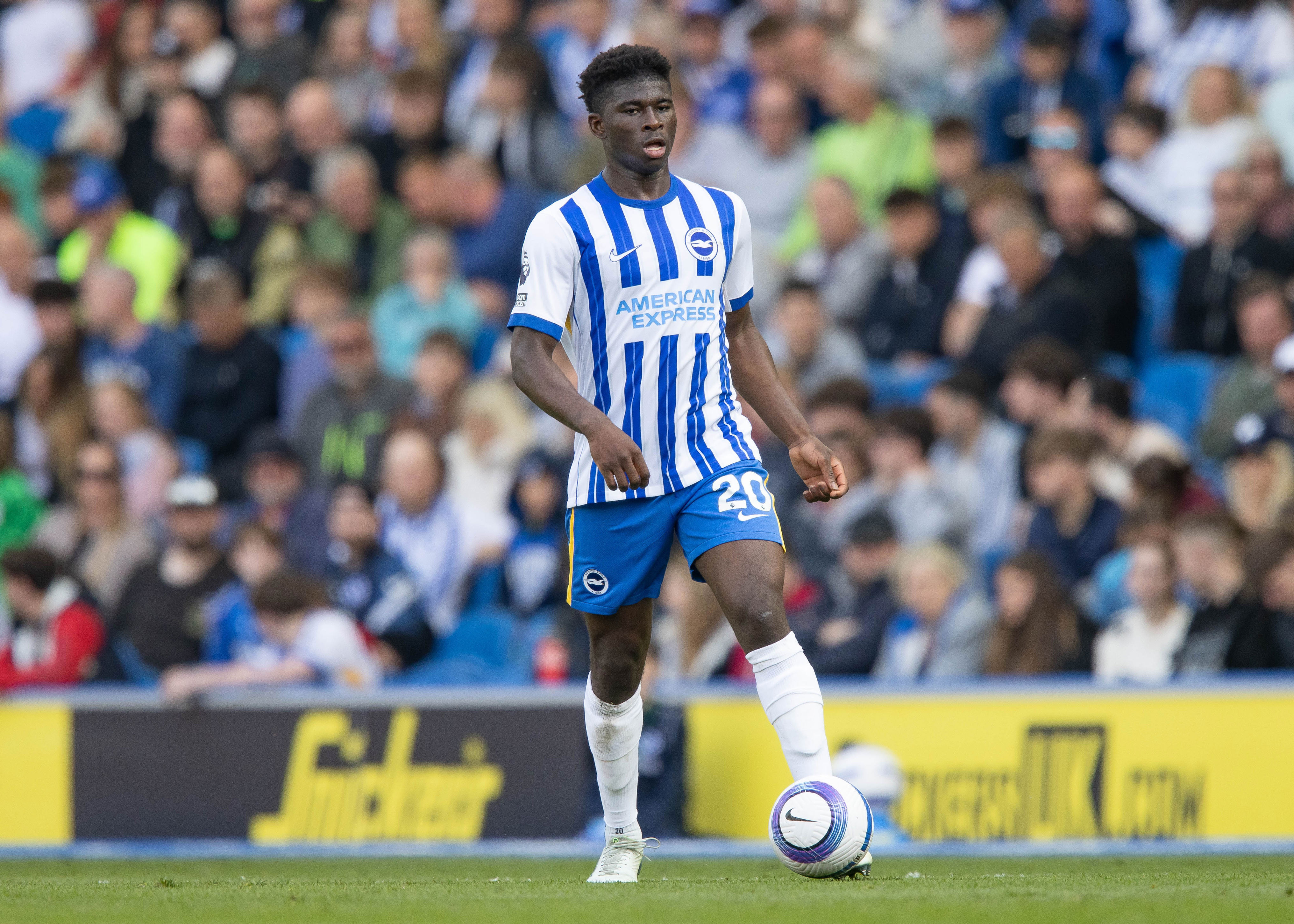 能够踢上欧, 但布莱顿已 能够踢上欧, 但布莱顿已